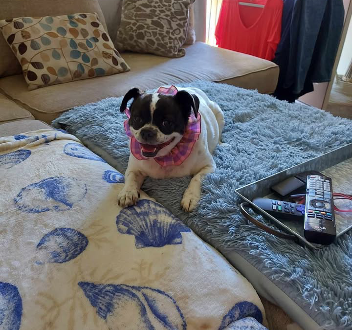 Help when it was needed most