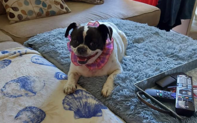 Help when it was needed most