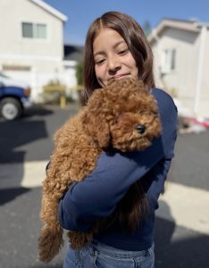 Lady smiling and holding her curling brown haired medium sized dog