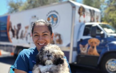 C.A.R.E.4Paws: Strengthening the human–animal bond on the Central Coast