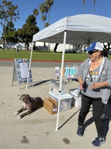 Donation drive thru station at Earl Warren Showgrounds