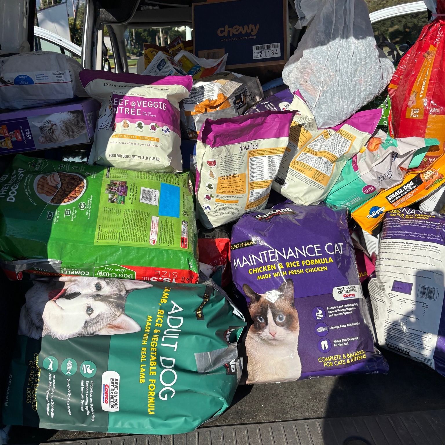 Our community provided nearly a ton of pet food during our drive, and we loaded into our transit van for transporting to our distribution centers