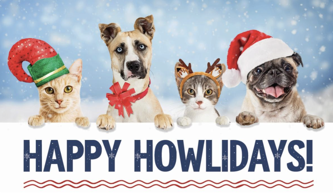 Happy Howliday graphic with a variety of pets wearing holiday hats