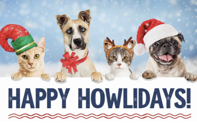 December 2025 E-newsletter