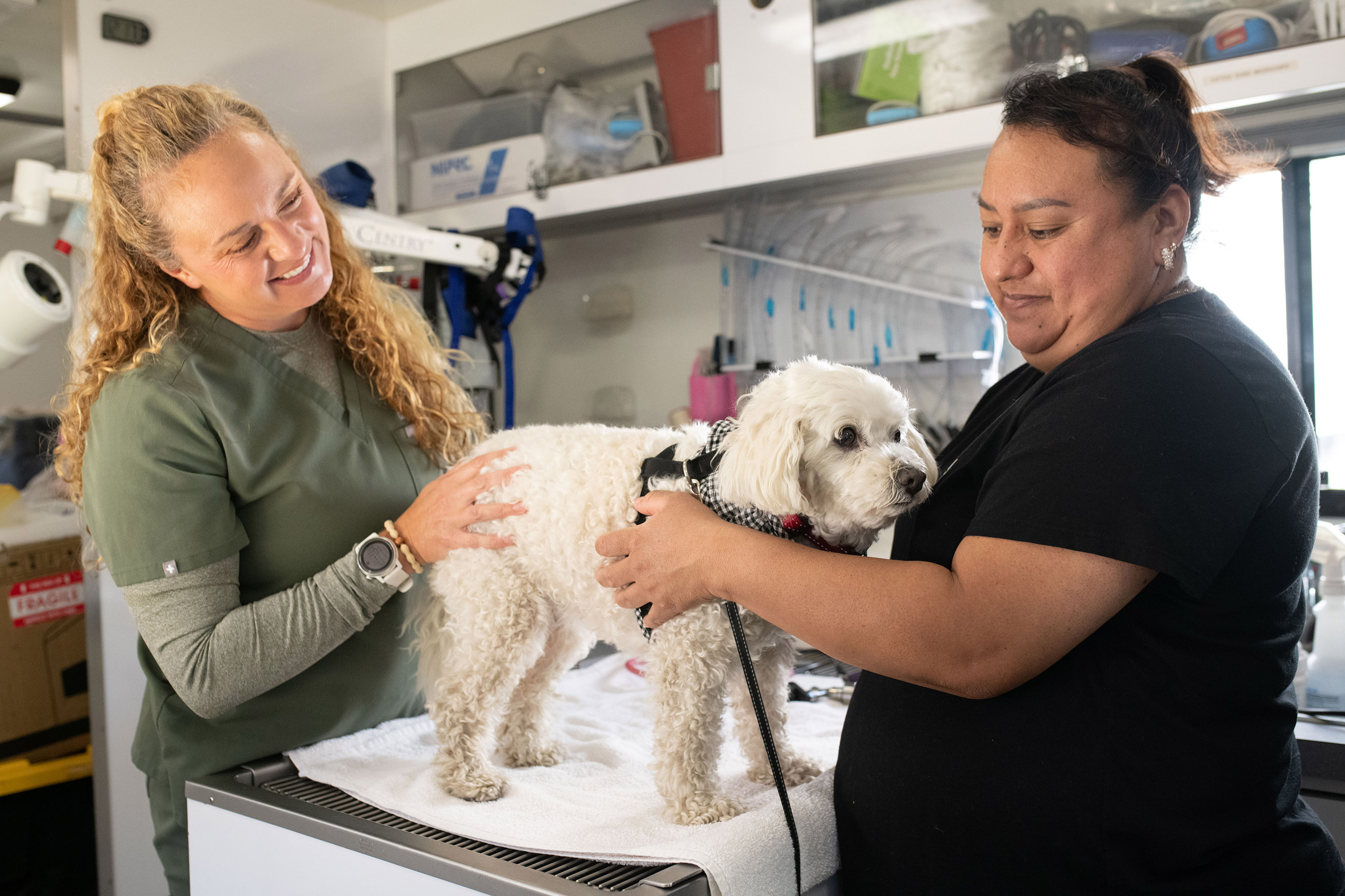 Pay it Forward payment plans