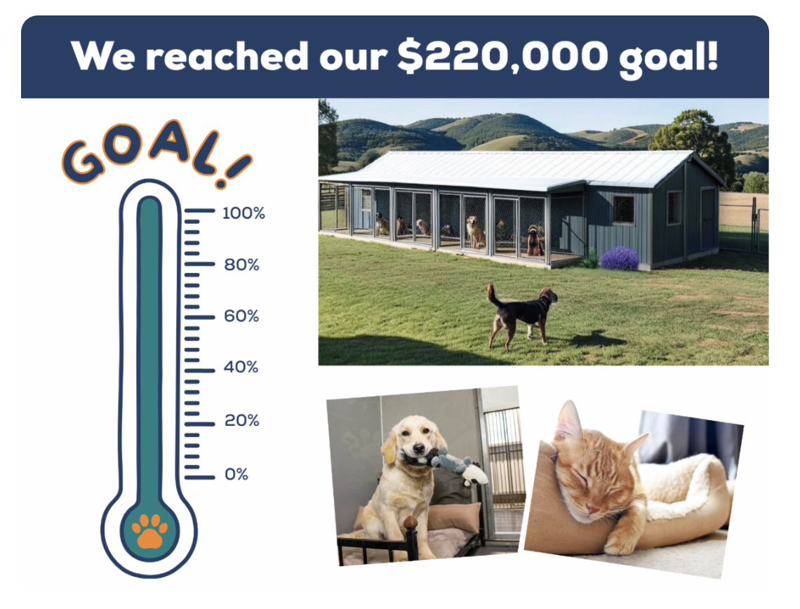 Pet Refuge goal counter