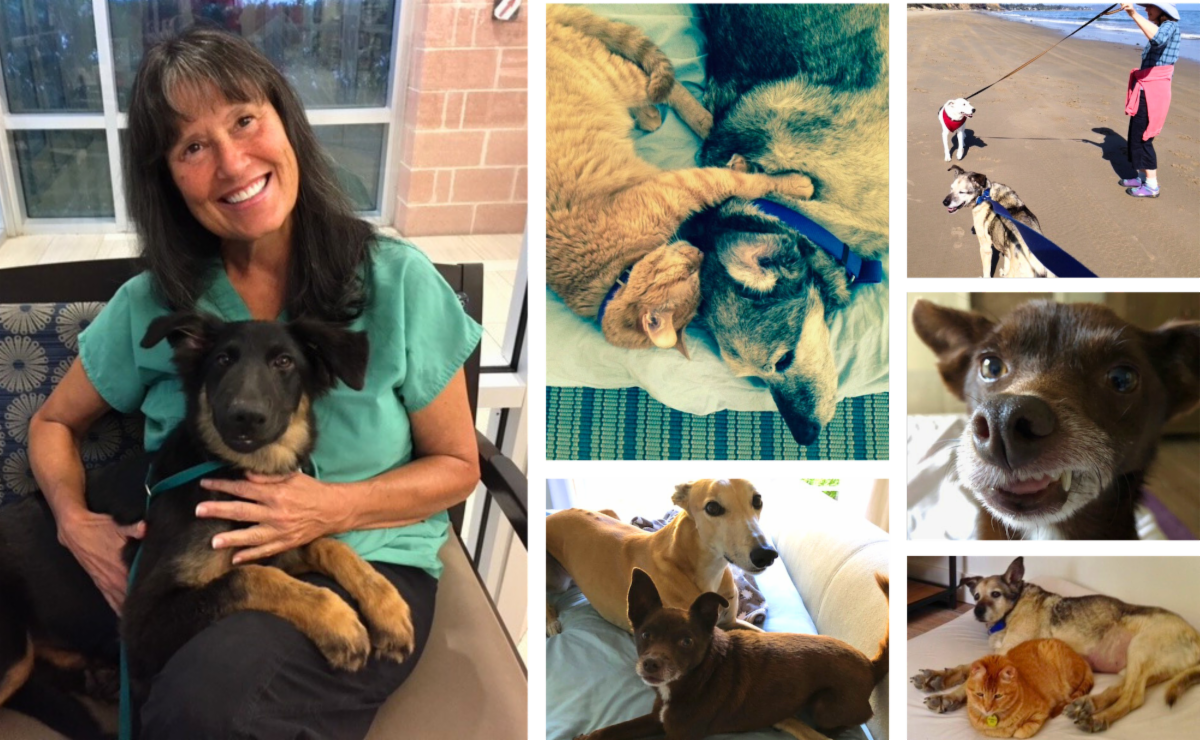 Collage of one of our donors with their pets