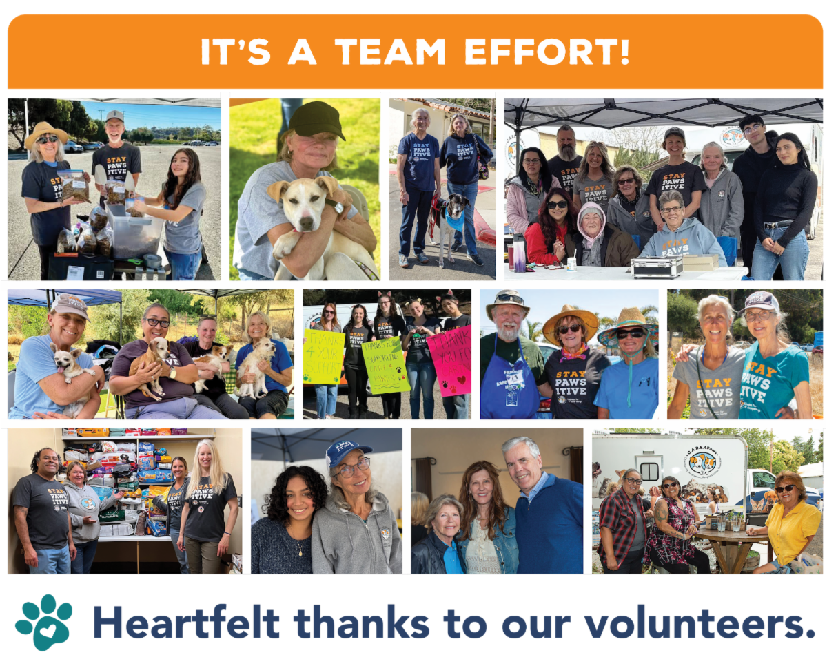 A collage of our volunteers showing our appreciation