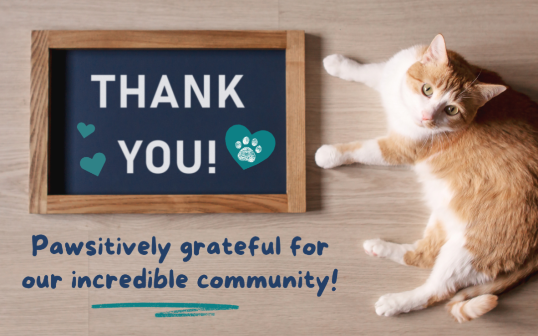 January 2026 E-newsletter