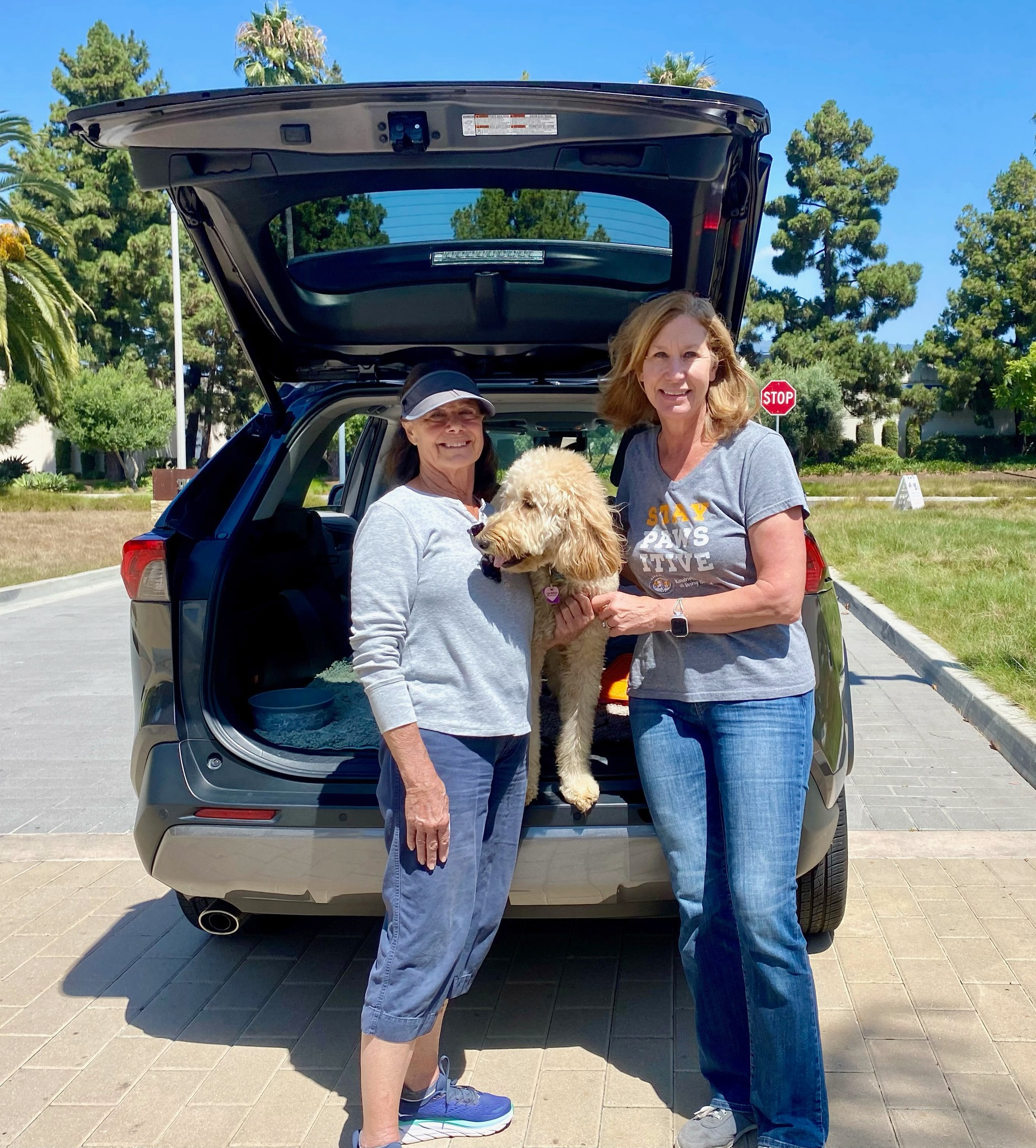 One of our Deckers' pet food and supplies drive furry guest with a delivery