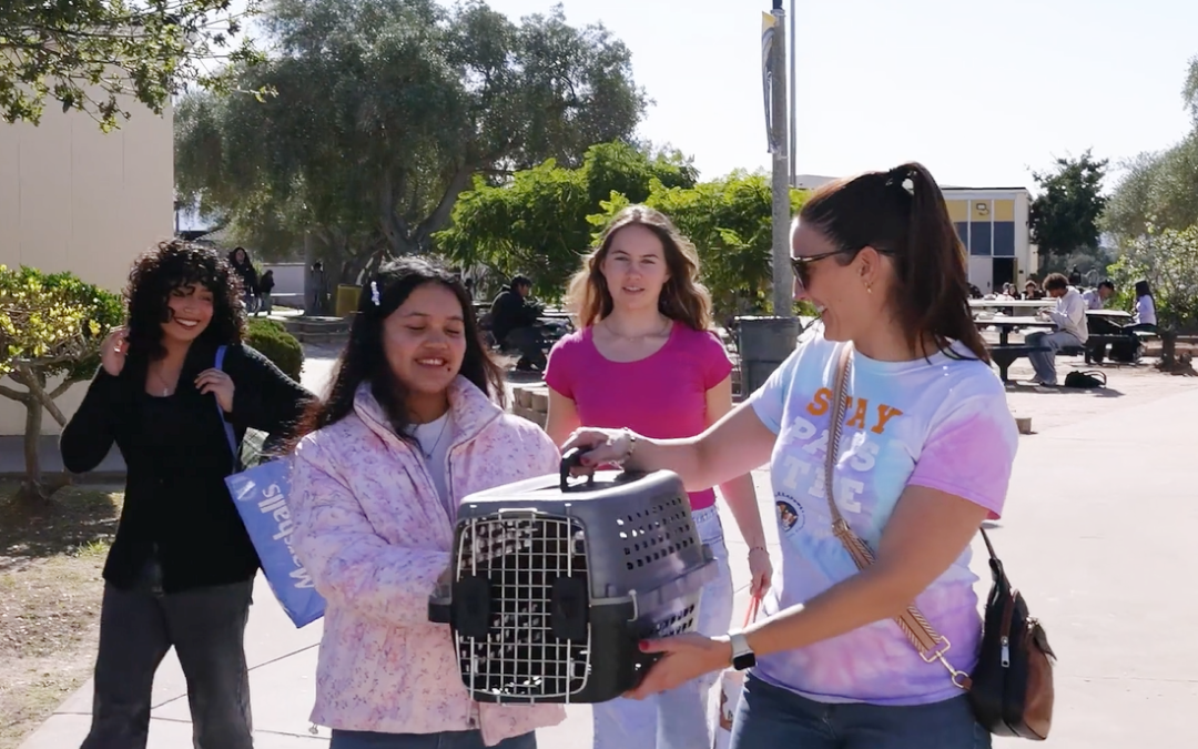 Students collecting resources for C.A.R.E.4Paws