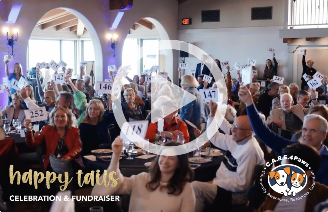 C.A.R.E.4Paws Happy Tails Celebration & Fundraiser video