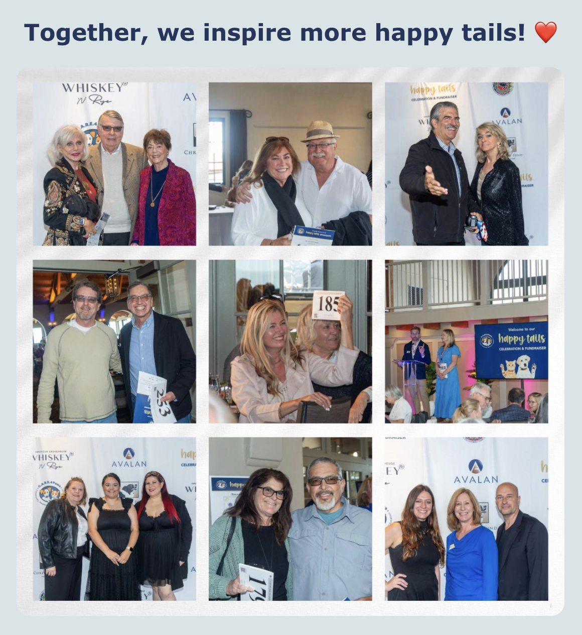 C.A.R.E.4Paws Together we inspire more happy tails collage