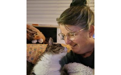 Quality pet care for our cats on a fixed income