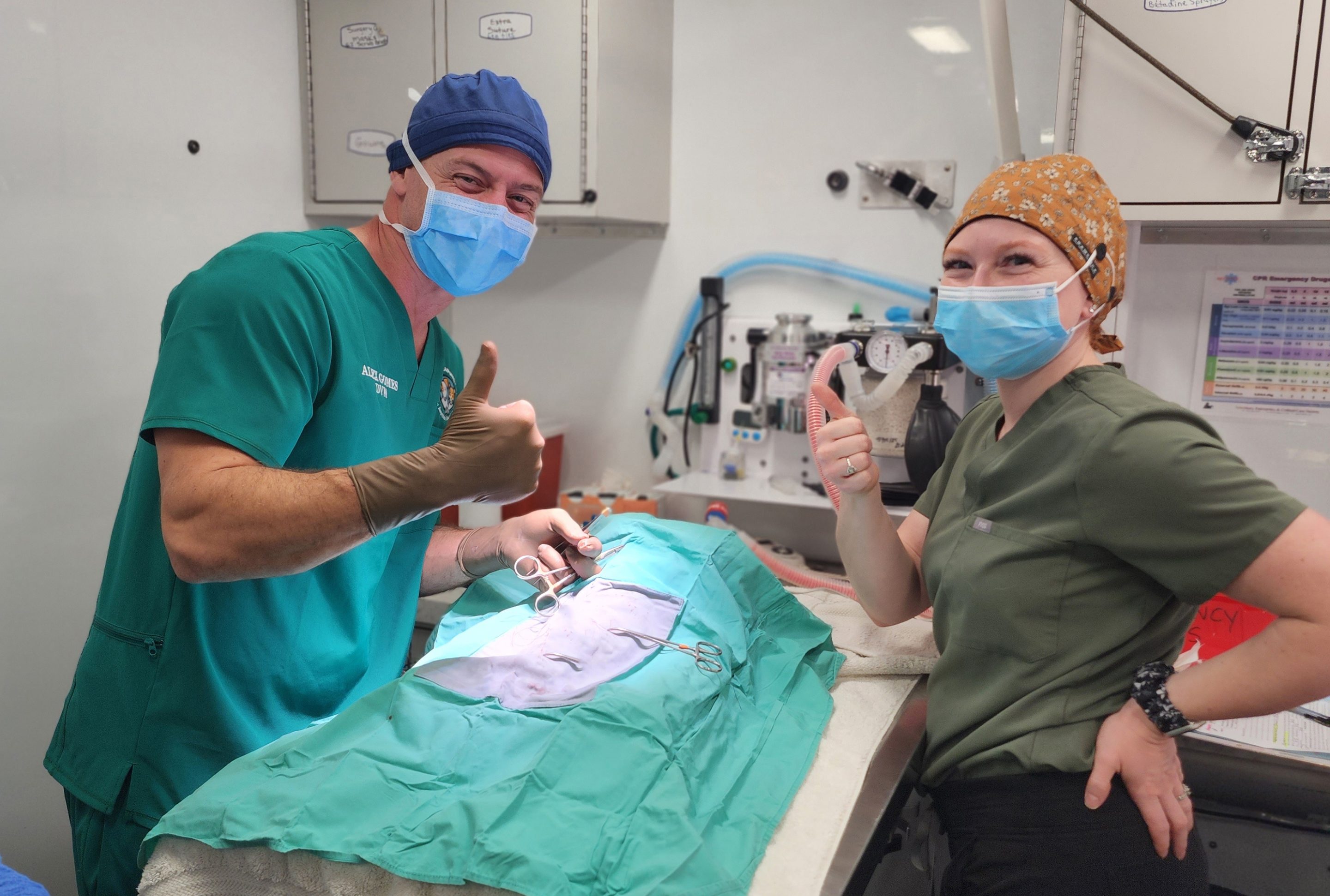 We bring critical pet care to remote communities, like New Cuyama. 