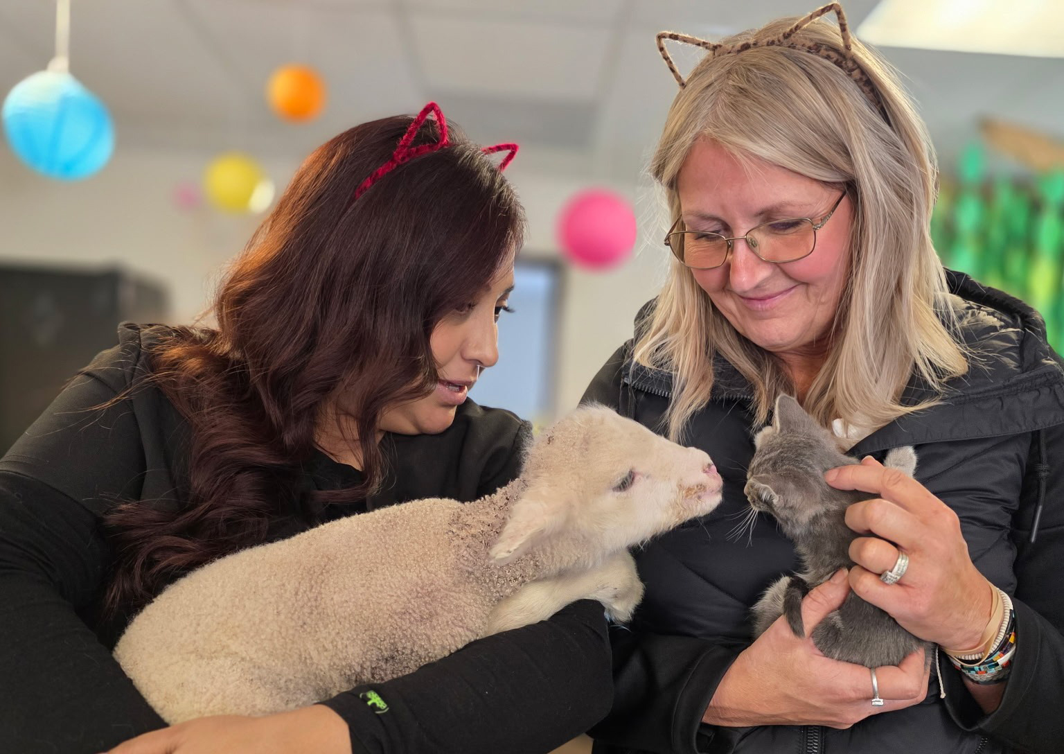 We bring critical pet care to remote communities, like New Cuyama. 