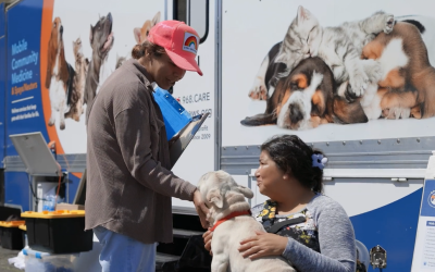 Rocky receives urgently needed care