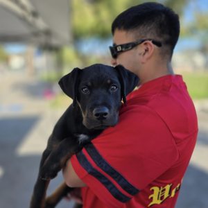 large puppy in a mans arms