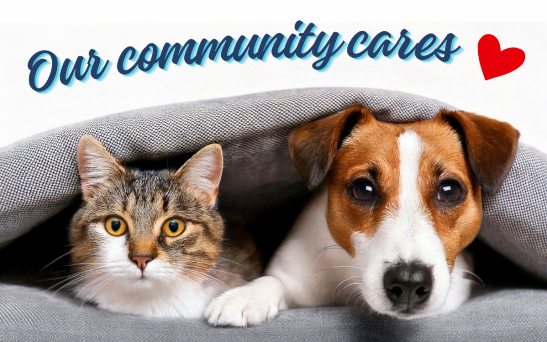 May 2026 E-newsletter