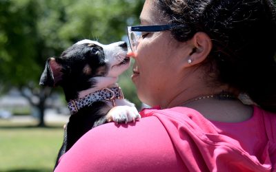 C.A.R.E.4Paws: Expanding Access to Compassionate Pet Care Across the Central Coast