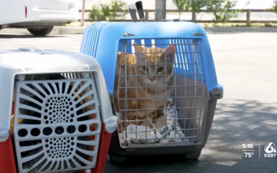 C.A.R.E.4Paws and Farm Supply Company partner for pet wellness clinics