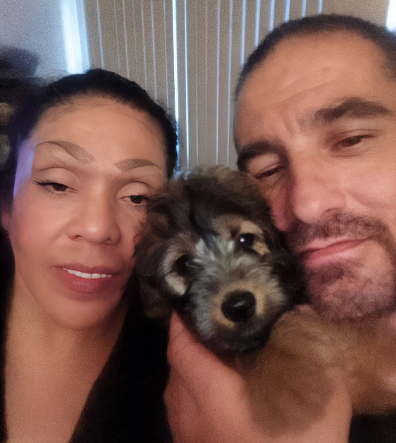 Buddy recovering at home for his battle with parvo