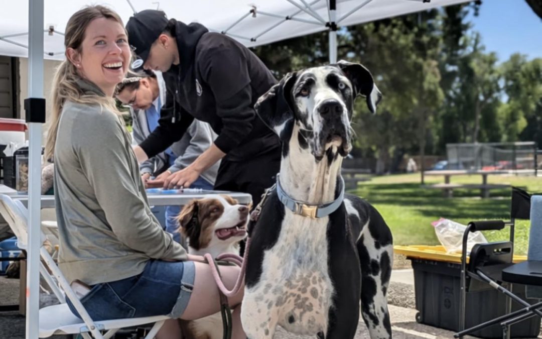 A lady with a great dane at a C.A.R.E.4Paws mobile pet wellness clinic
