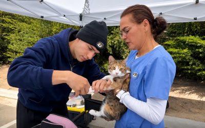 C.A.R.E.4Paws and Farm Supply partner to expand access to care