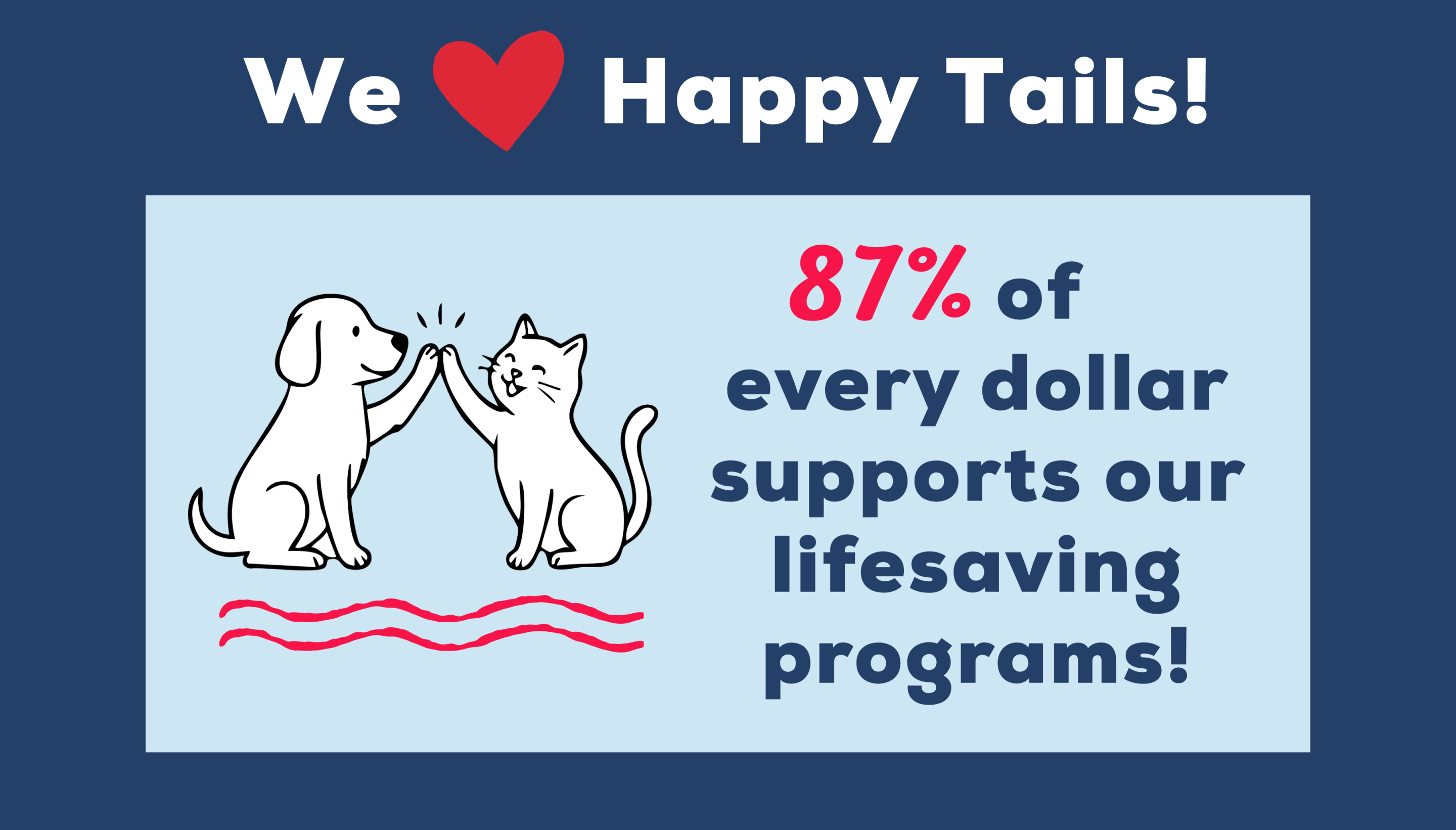87% of every dollar supports our lifesaving programs graphic