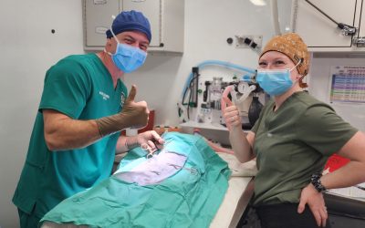 It takes a village – and a very good autoclave