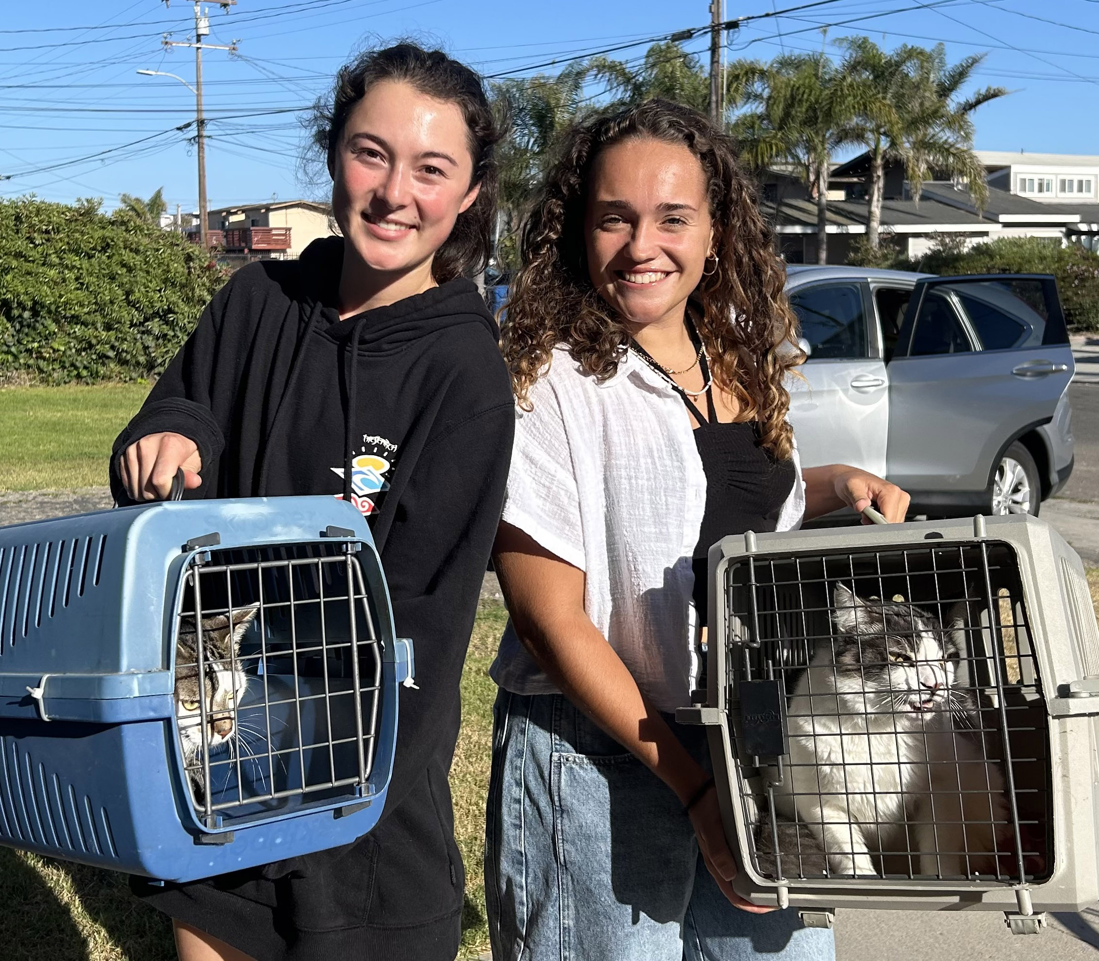 Foster families needed to keep pets with their people