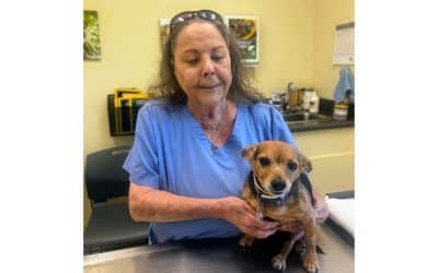 Vital pet care within reach